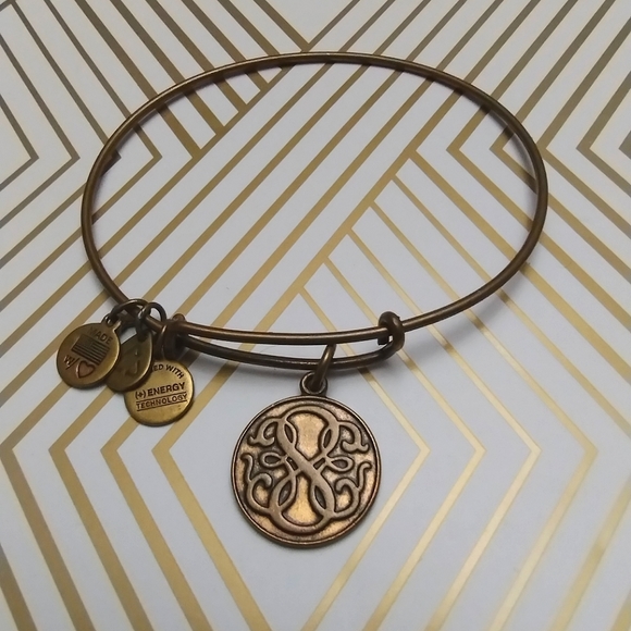 Alex & Ani Path of Life bracelet Strength Motivation Knowledge - Picture 5 of 5